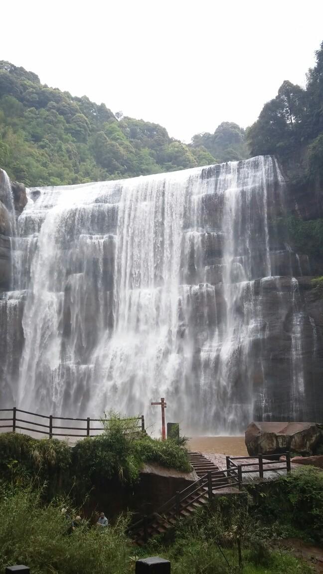雷竞技比分
